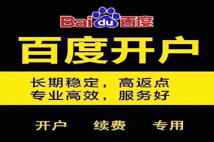 百度SEO推广的五大成功企业案例
